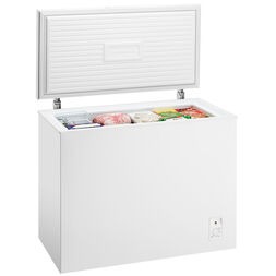  Rent a Freezer in Perth